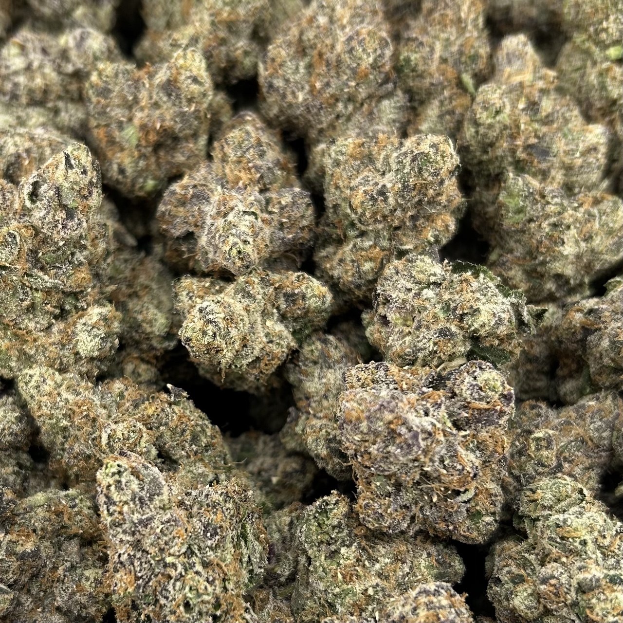 Blackberry Fire FD#2663