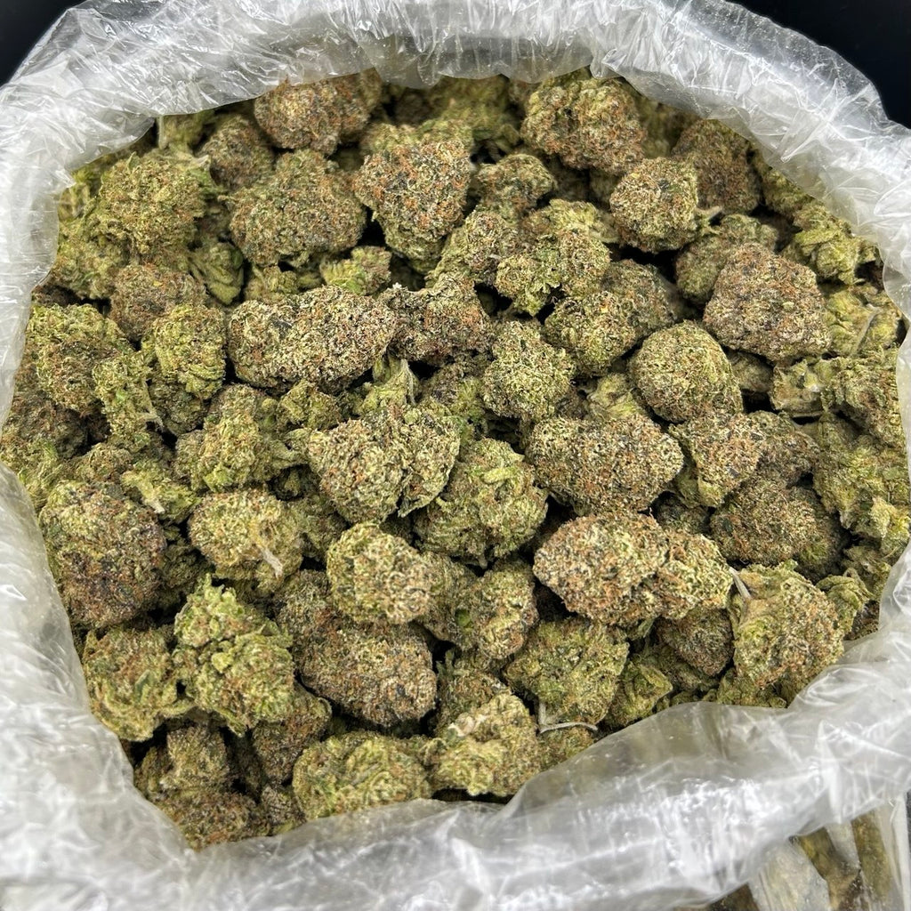 Fire Hitz Gummiez FD#2666