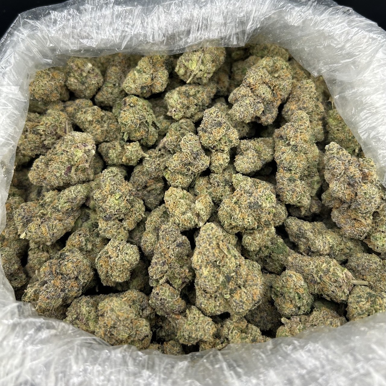 Purple Uni Candy FD#2669