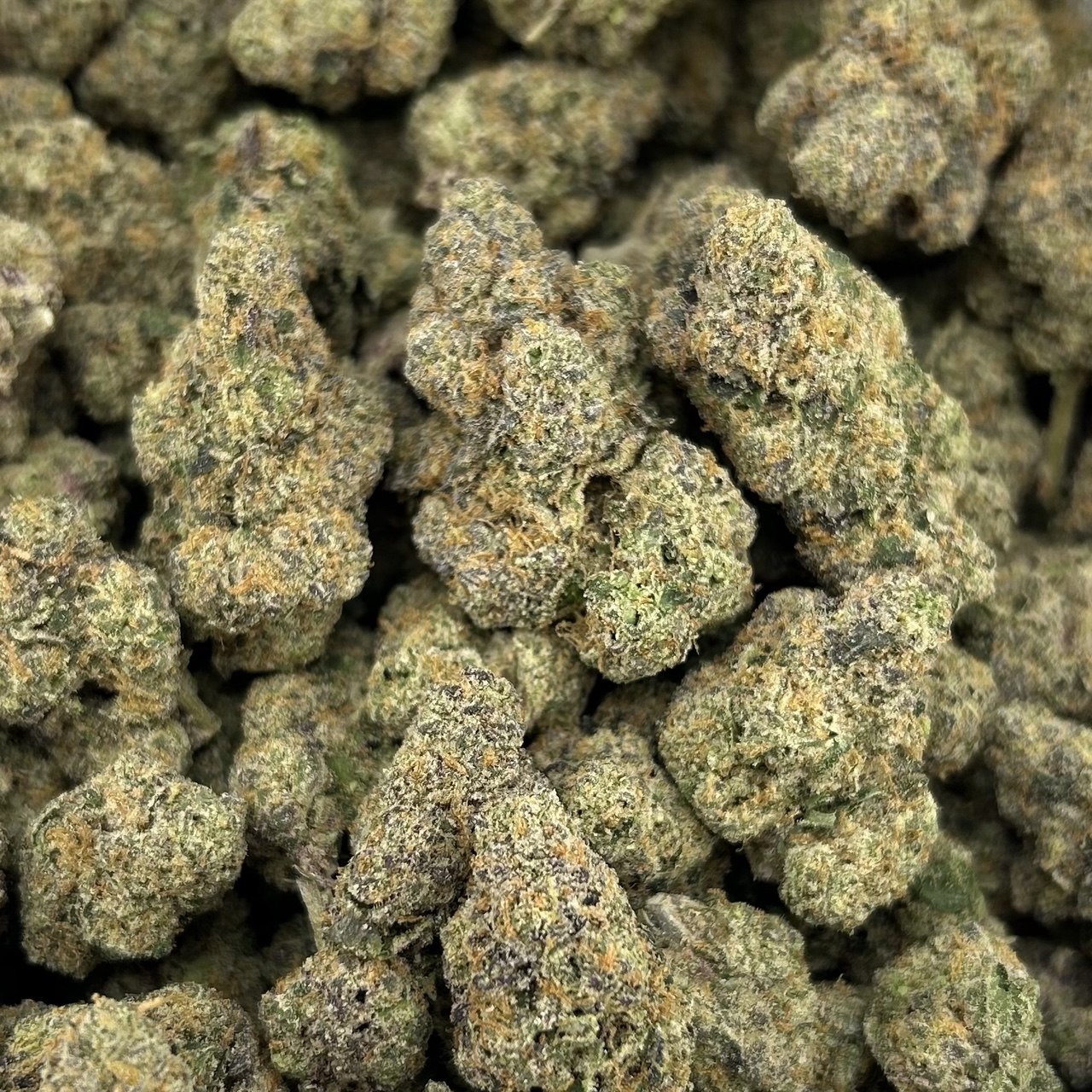 Purple Uni Candy FD#2669