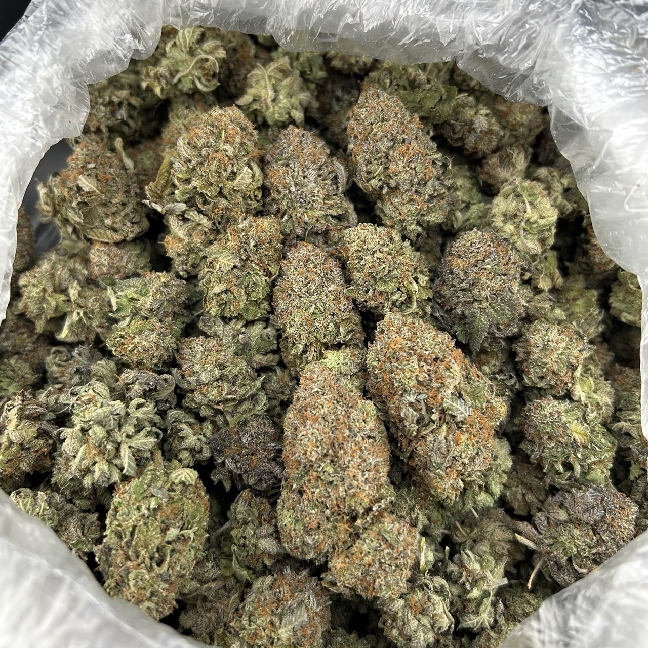 Platinum Bacio FD#2670