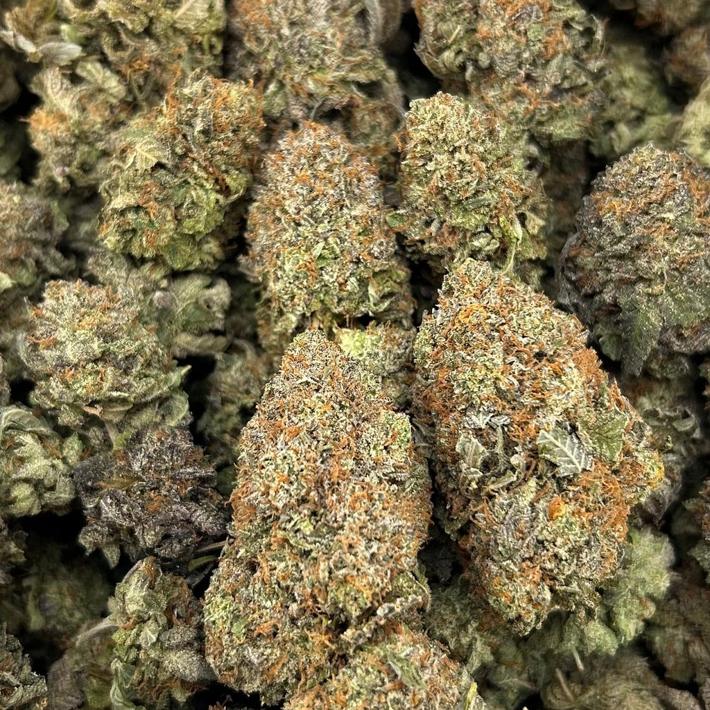 Platinum Bacio FD#2670