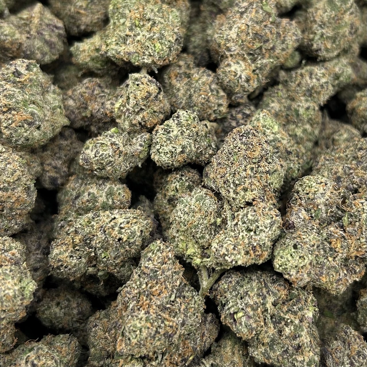 Bali Candy FD#2677