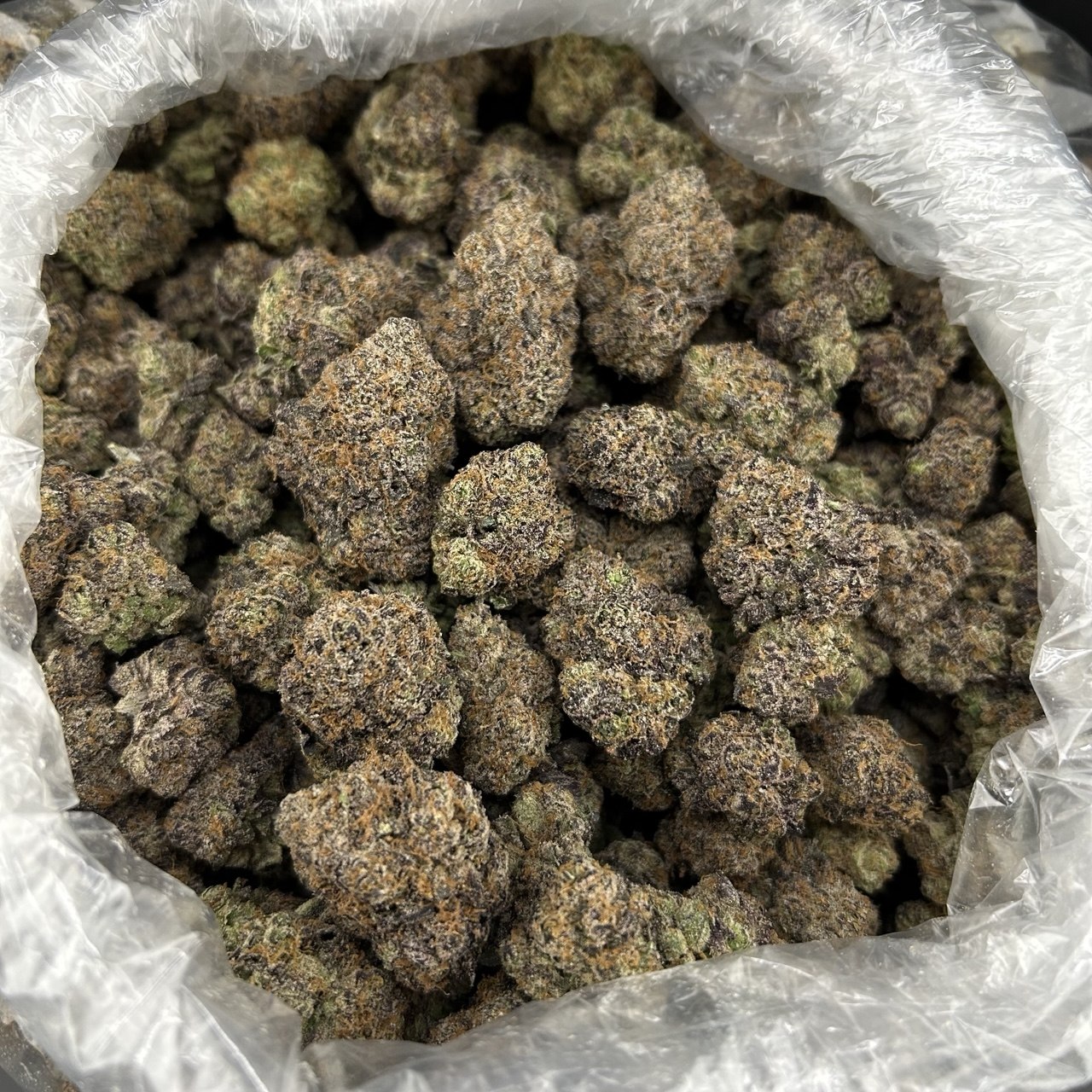 Bubblegum Zlushie FD#2686