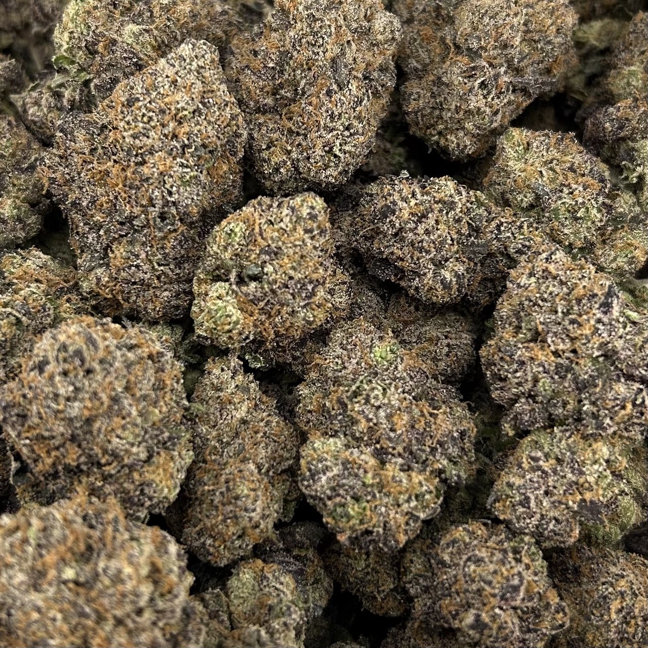 Bubblegum Zlushie FD#2686