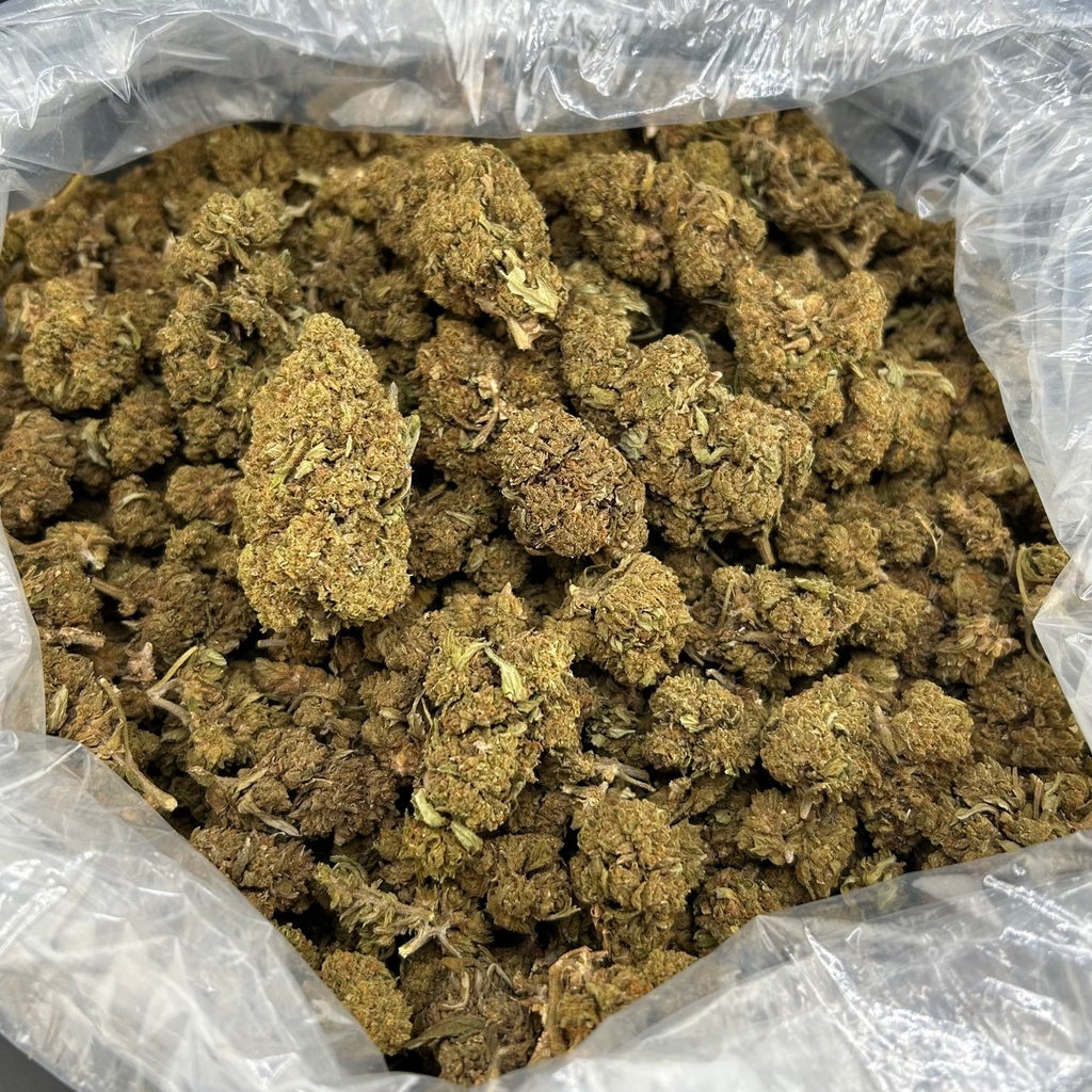 Rainbow Sherbert FD#2690
