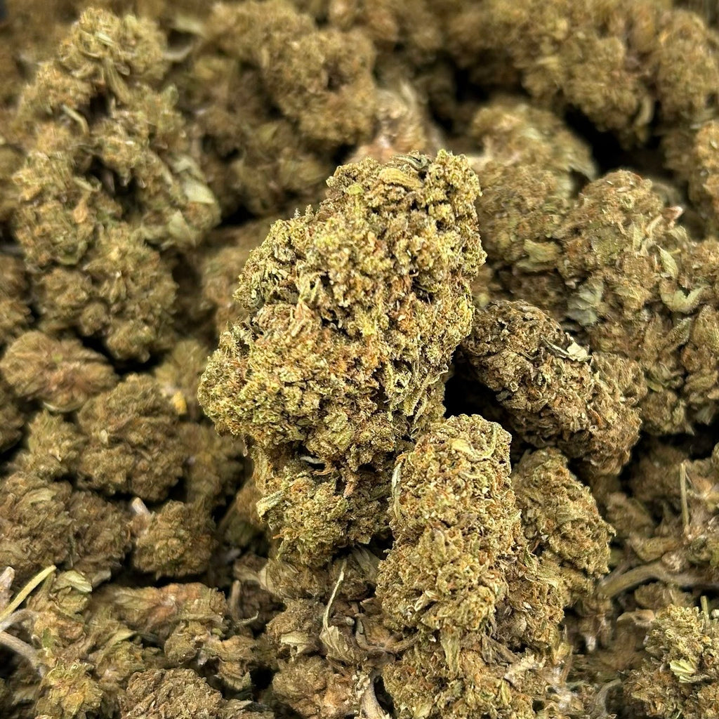 Rainbow Sherbert FD#2690