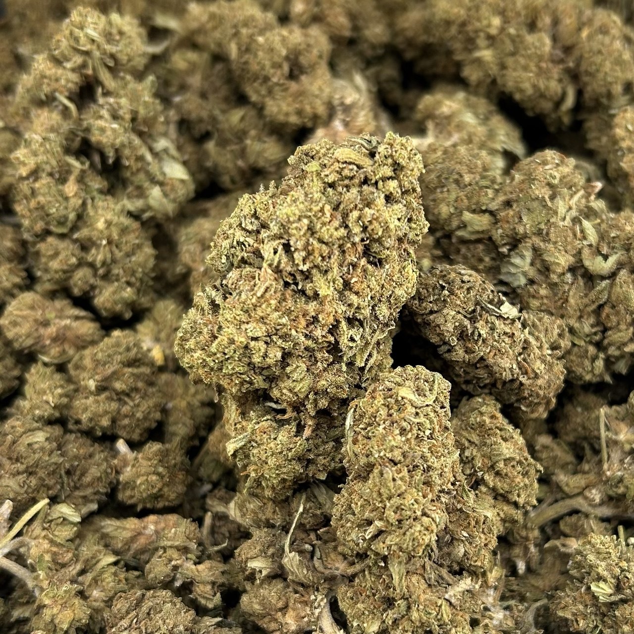 Rainbow Sherbert FD#2690
