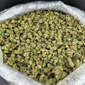 Blue Icey Smalls FD#2694
