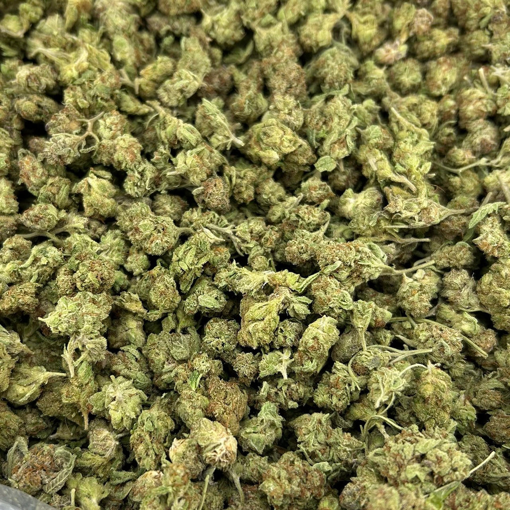 Blue Icey Smalls FD#2694