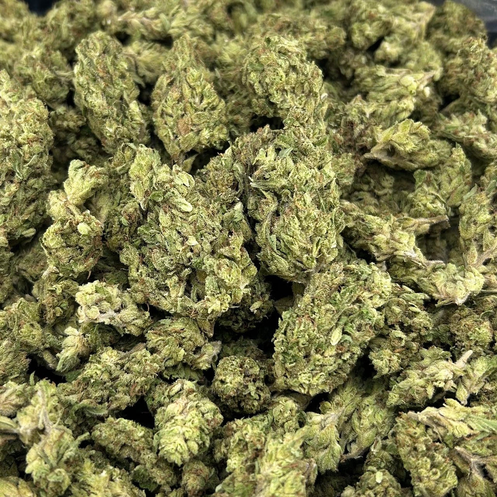Jedi OG FD#2698