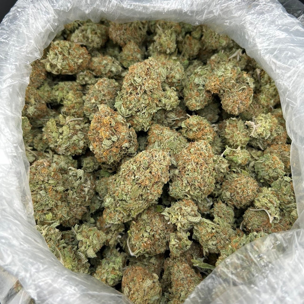Hawaiian Plats FD#2701