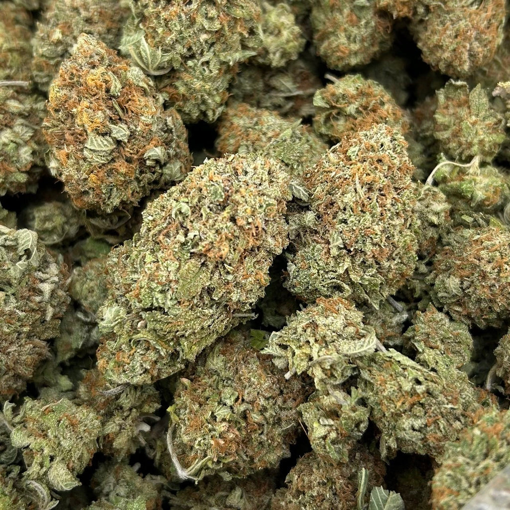 Hawaiian Plats FD#2701