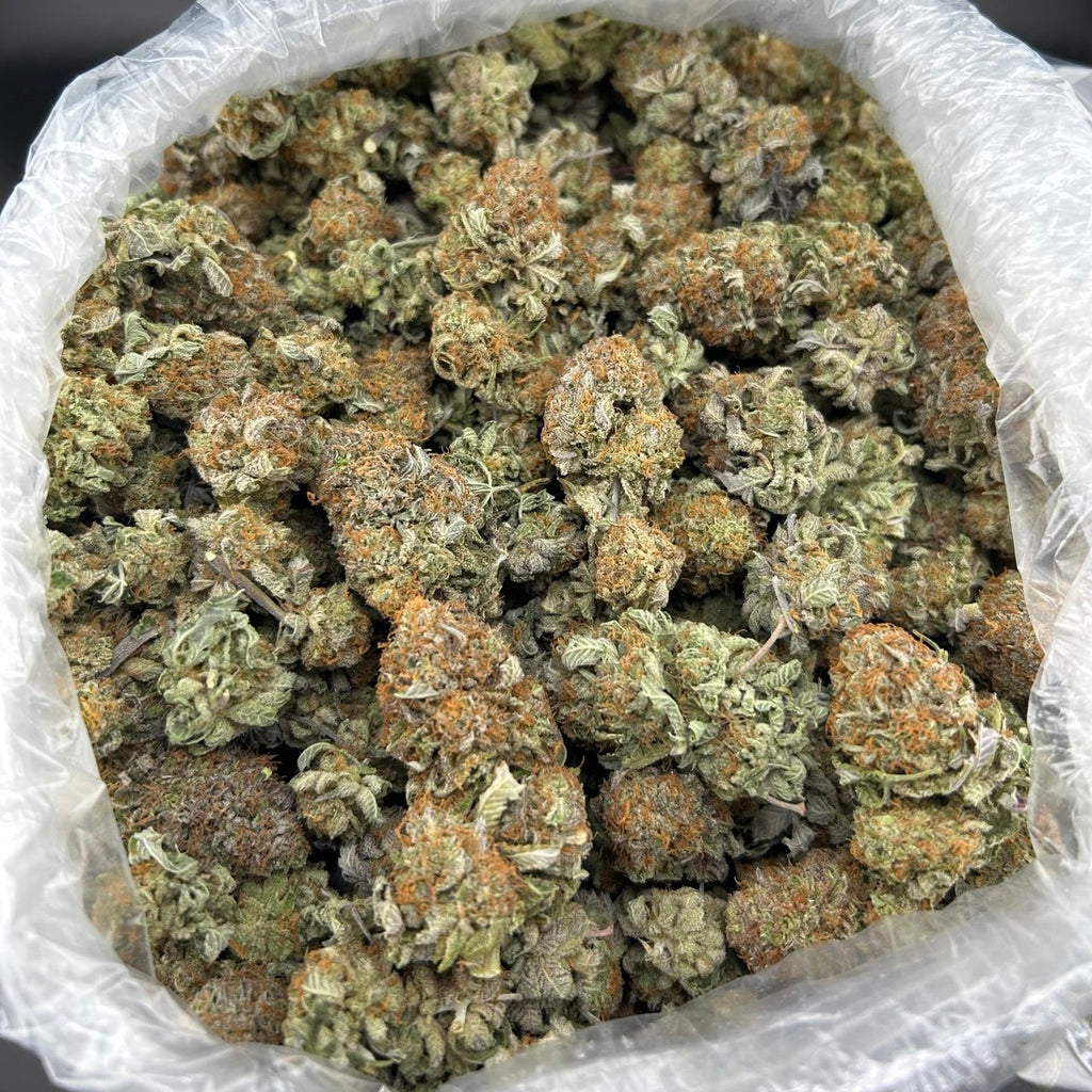 Platinum Skunk FD#2702