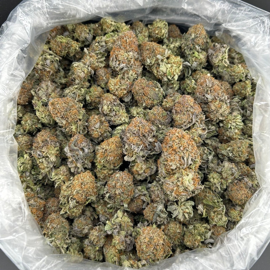 Platinum Queen FD#2703