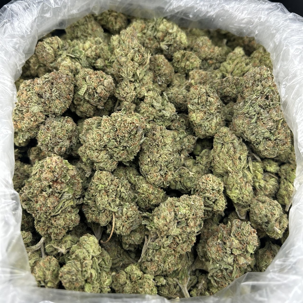 Candy Gas FD#2709