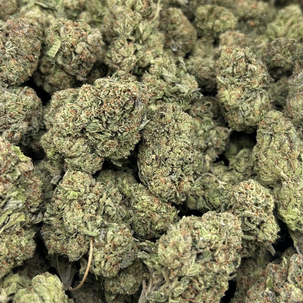 Candy Gas FD#2709