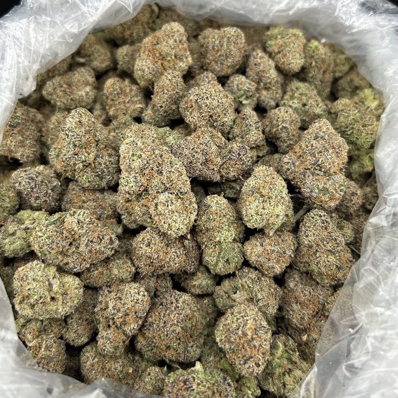 Raspberry Zlushie FD#2713