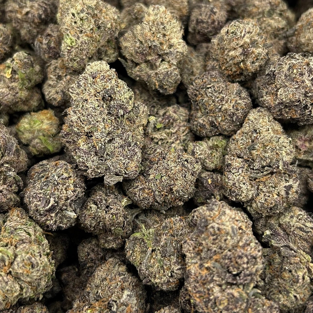 Bubblegum Zaza FD#2714