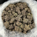 Martian Runtz FD#2717
