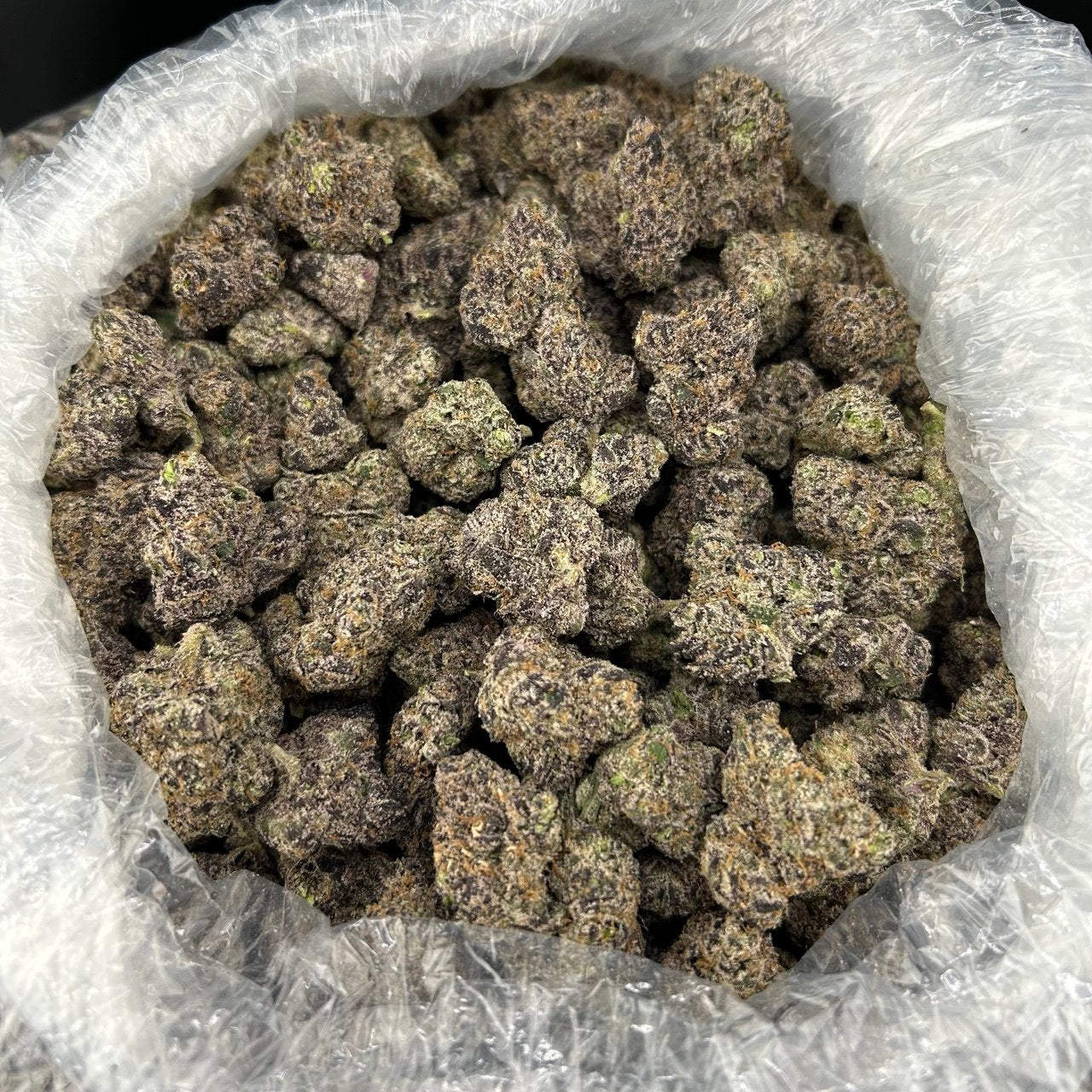 Martian Runtz FD#2717