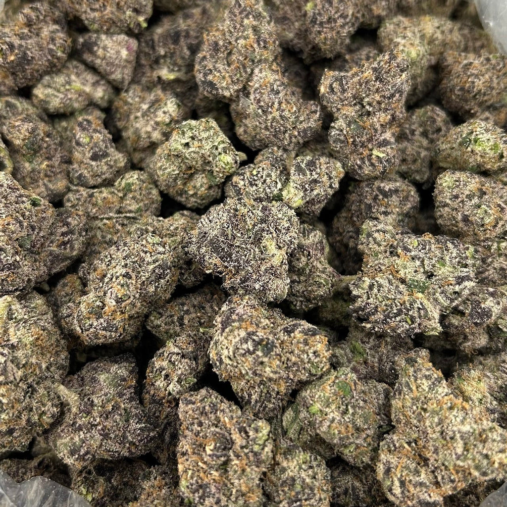 Martian Runtz FD#2717