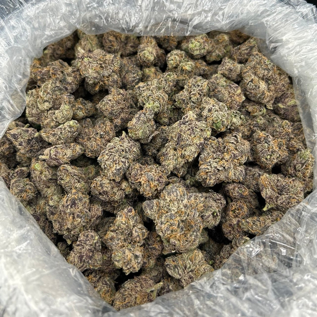 Top Rank Candy FD#2718