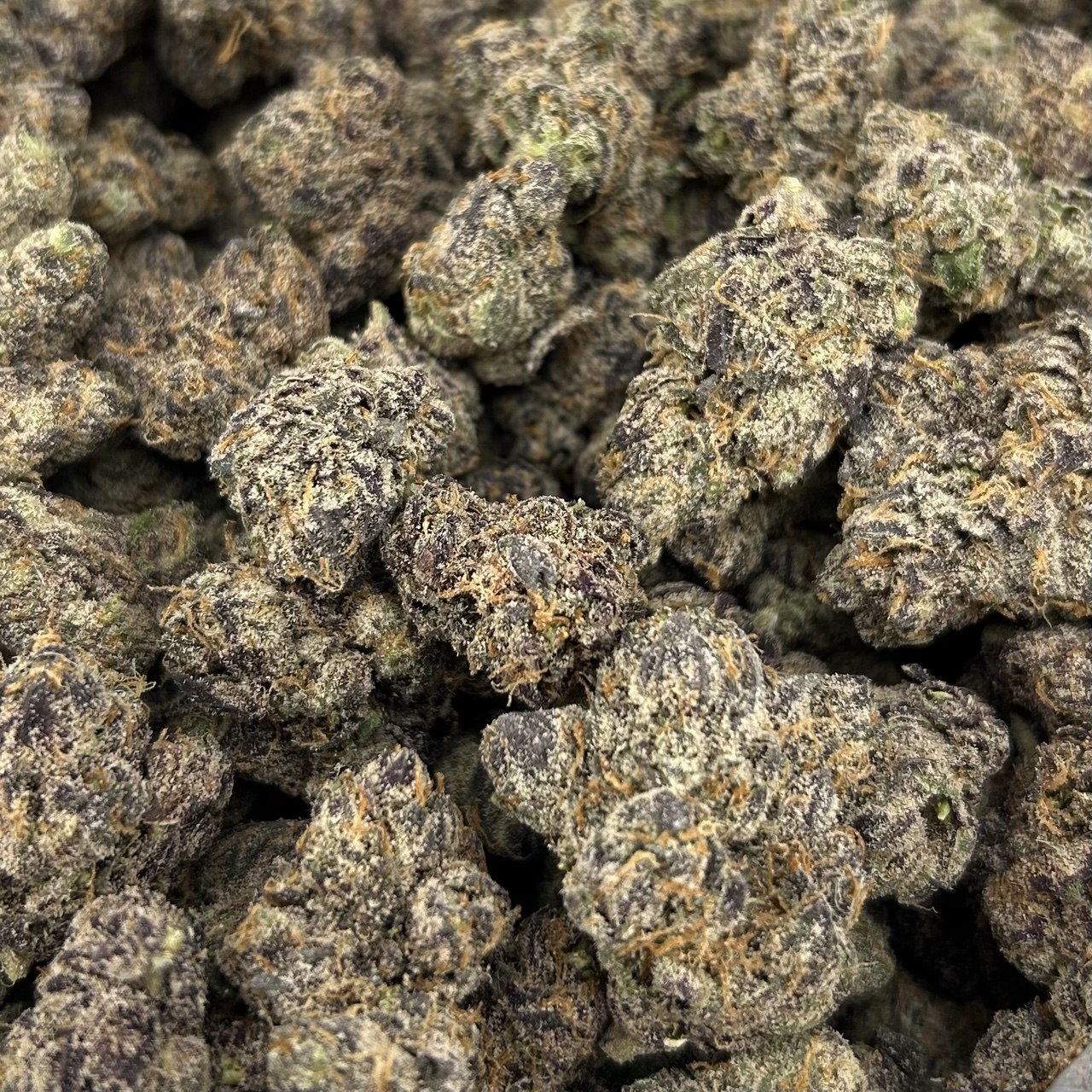 Top Rank Candy FD#2718