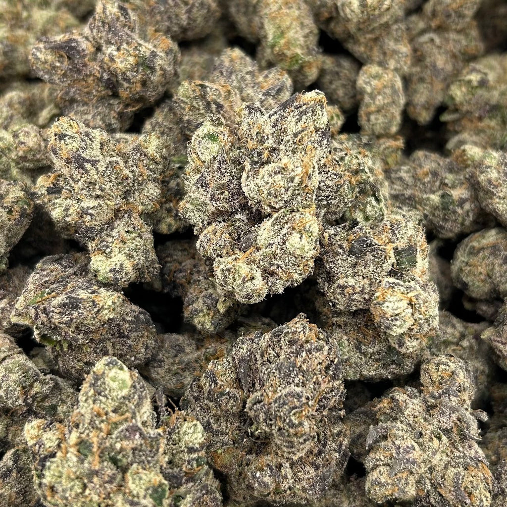 Gummy Bear Madness FD#2725