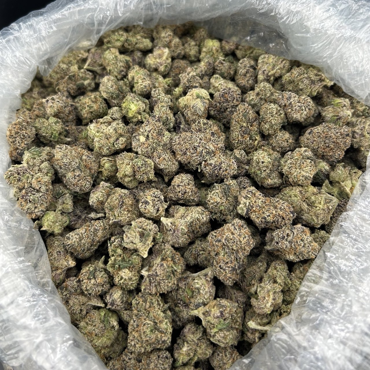 Blue Nerd Candy FD#2730