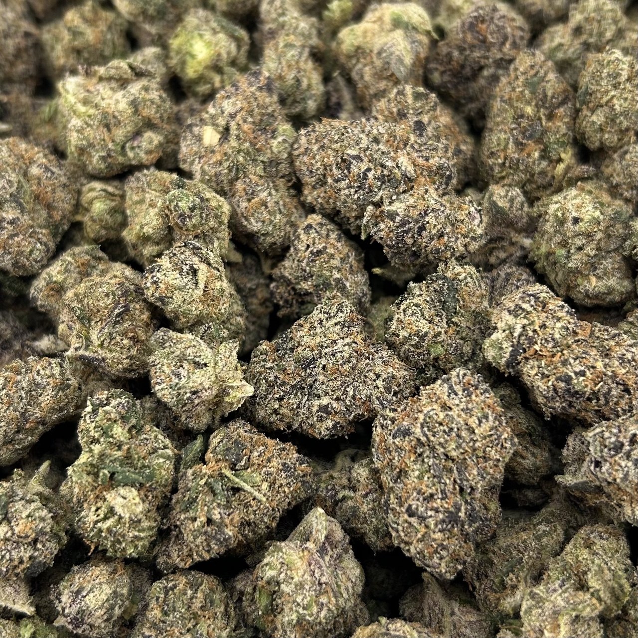 Blue Nerd Candy FD#2730