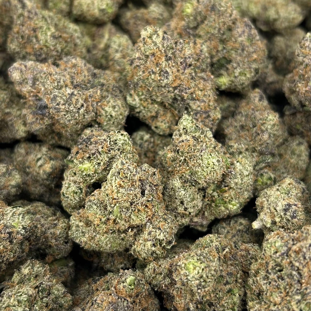 Tropical Nerdz FD#2734