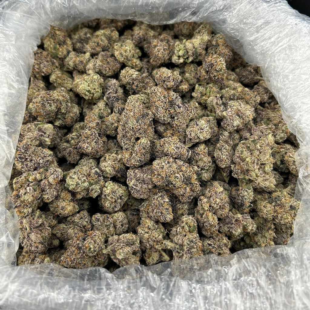 White Sunset Gummiez FD#2738