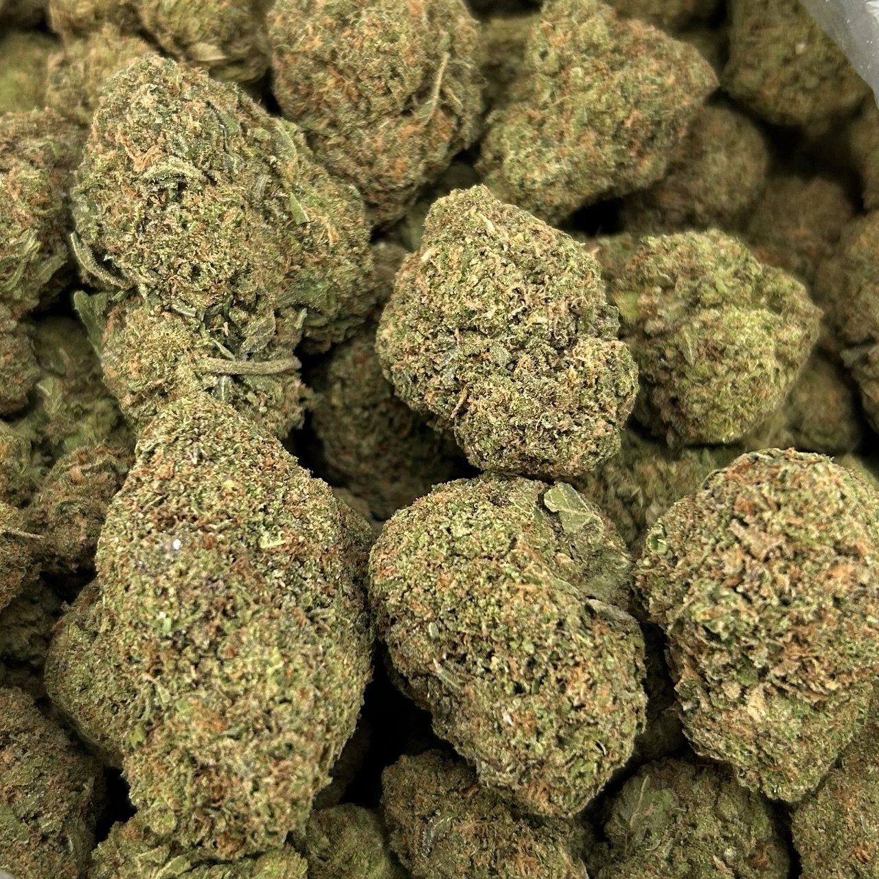 Grape Jelly FD#2744