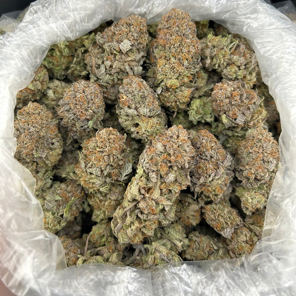 Platinum Chaser FD#2746