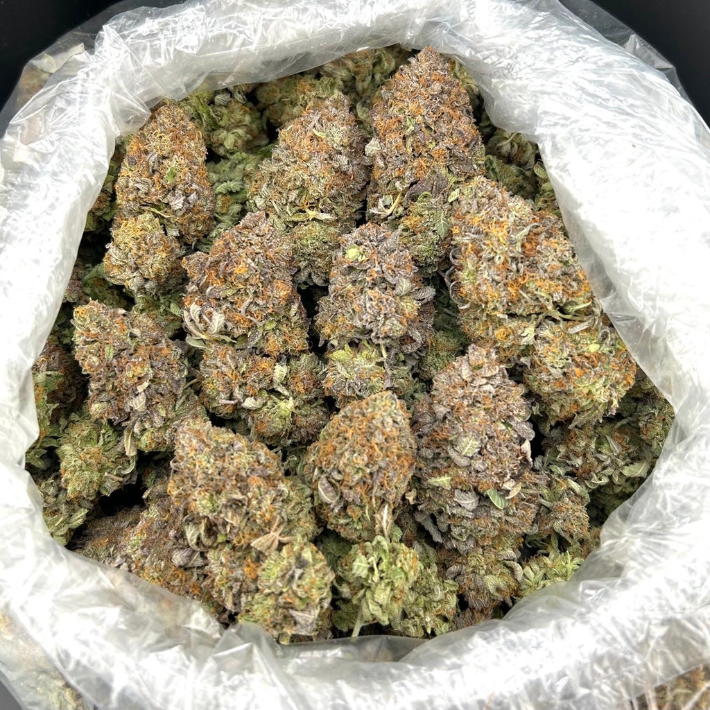 Platinum Queen FD#2747