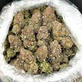 Platinum Queen FD#2747