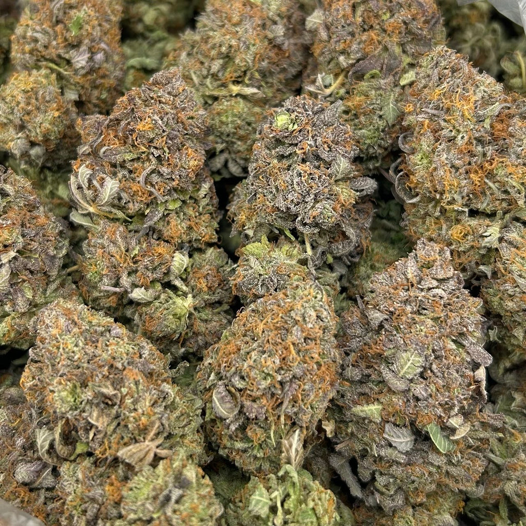 Platinum Queen FD#2747