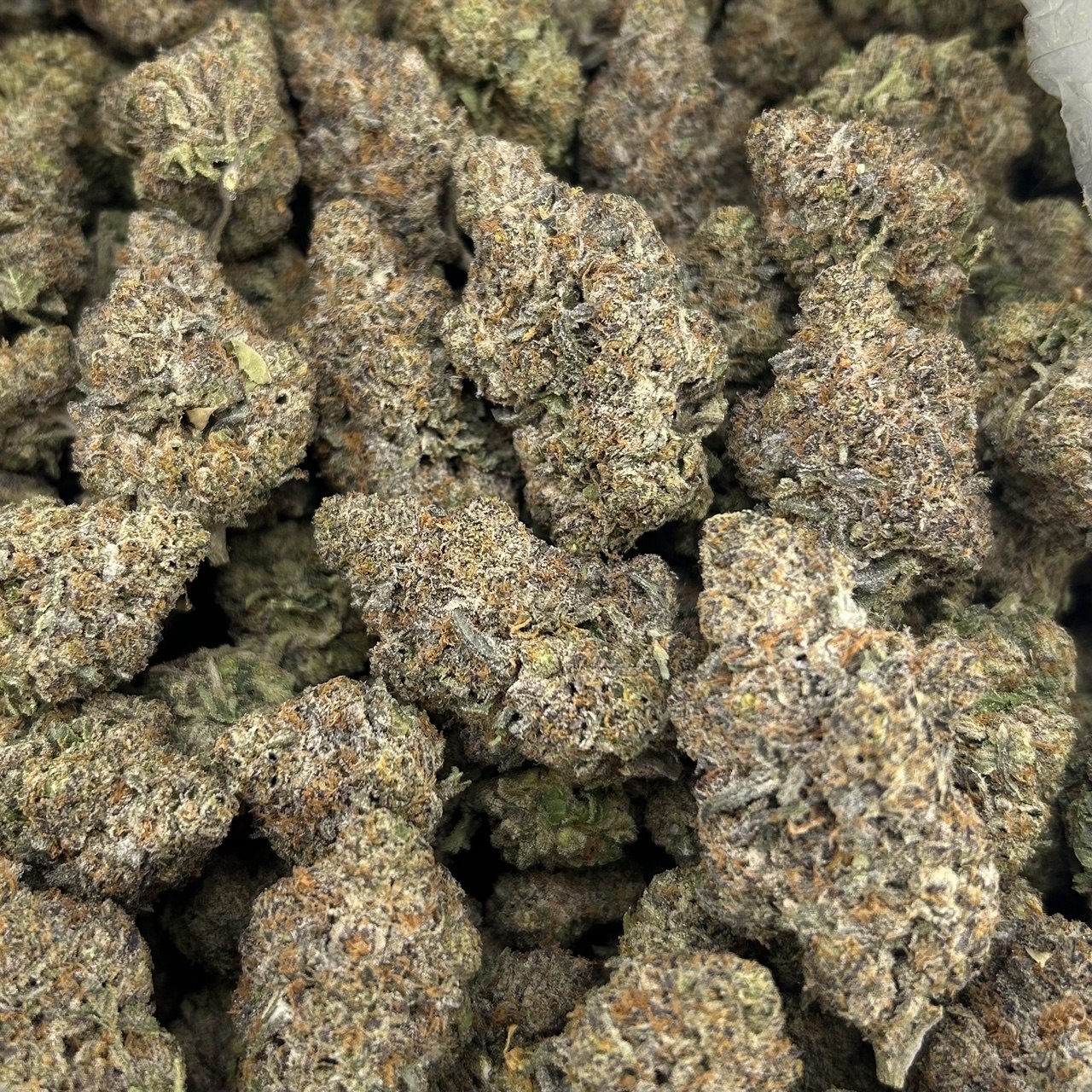 Fruitloop Candy FD#2749