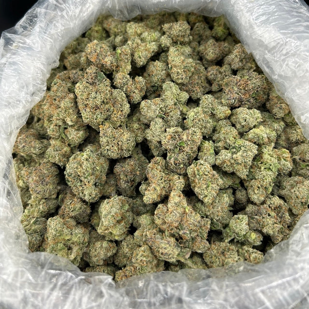 Candylato FD#2750