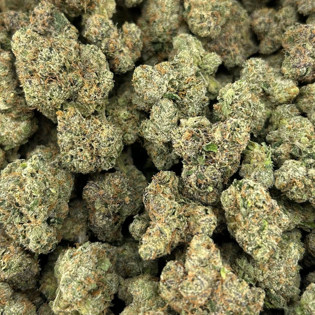 Candylato FD#2750