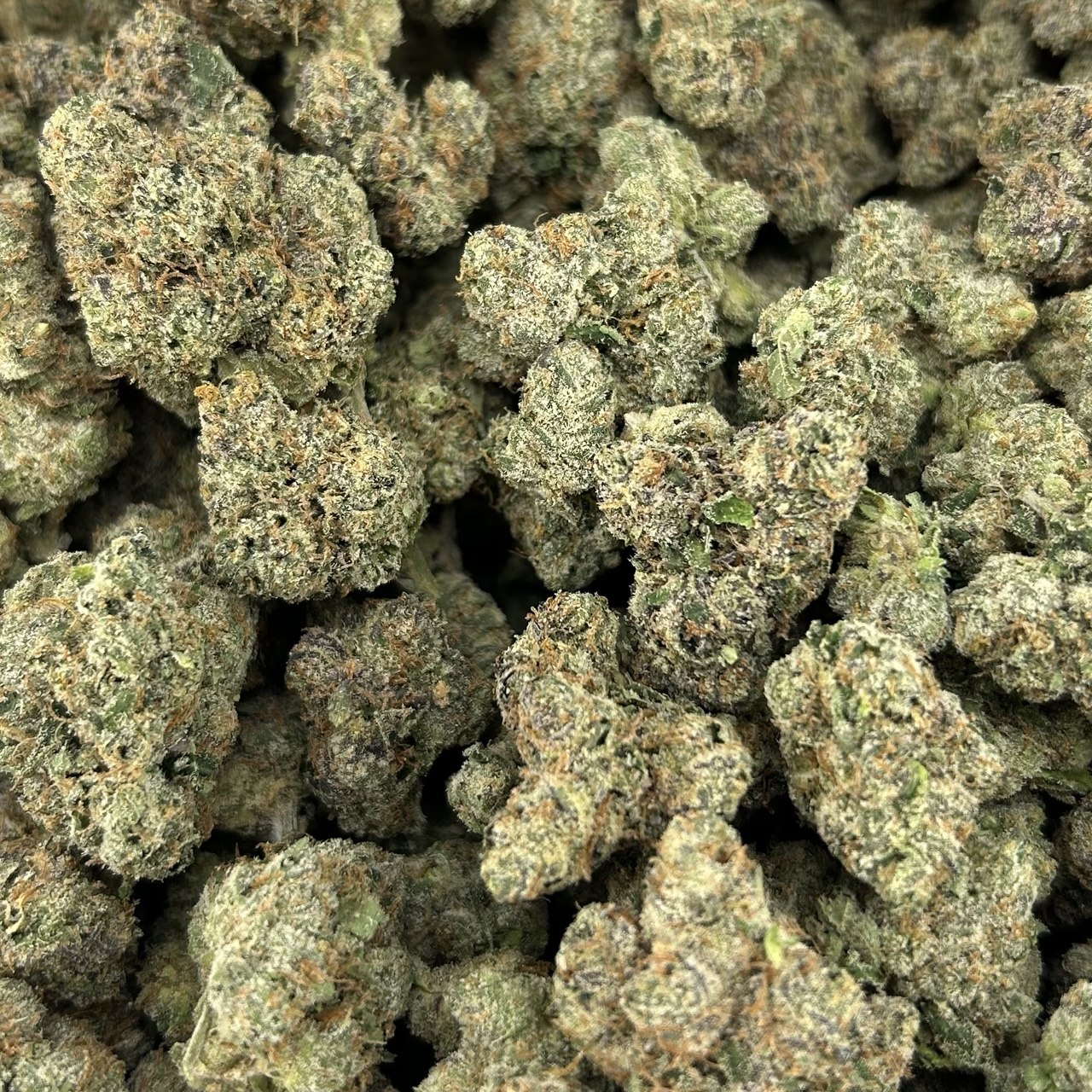 Candylato FD#2750