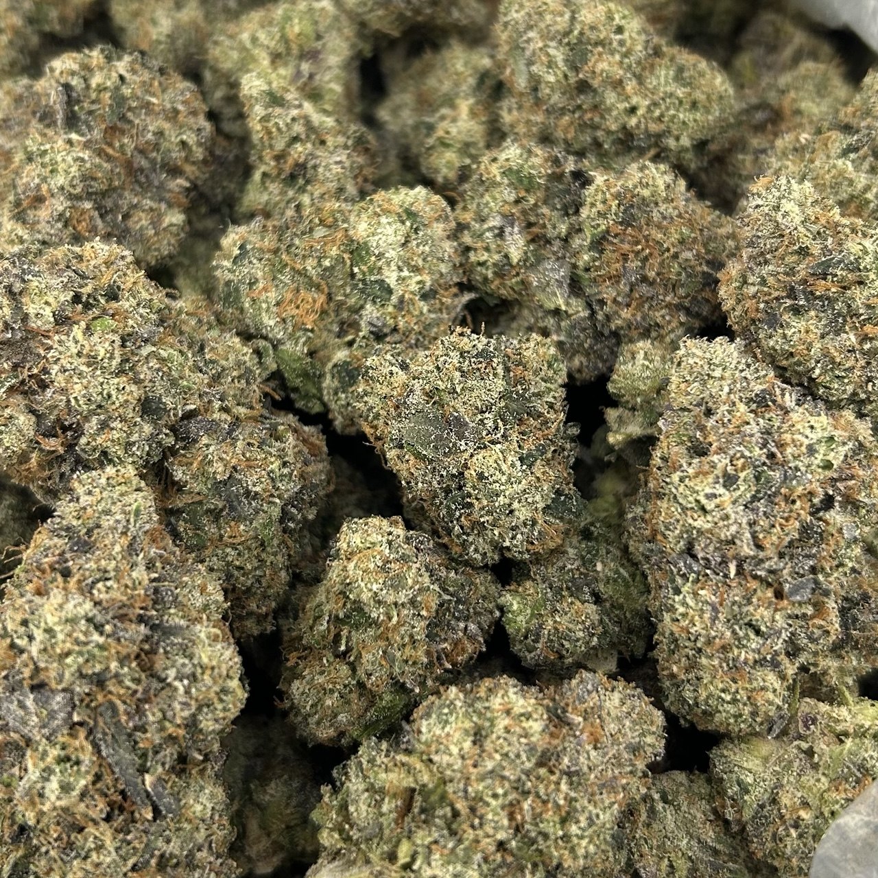 Peach Cobbler Runtz FD#2753
