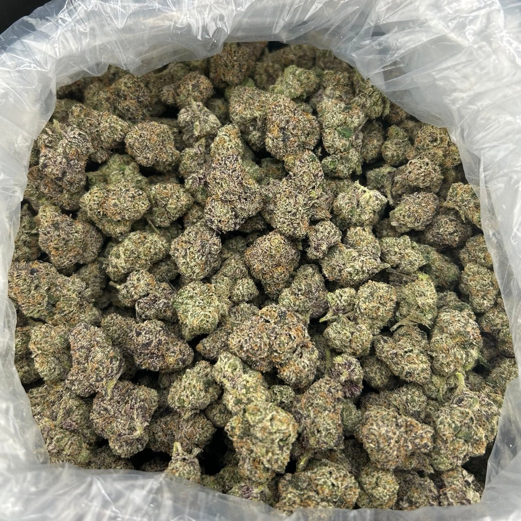 Miami Candy FD#2754