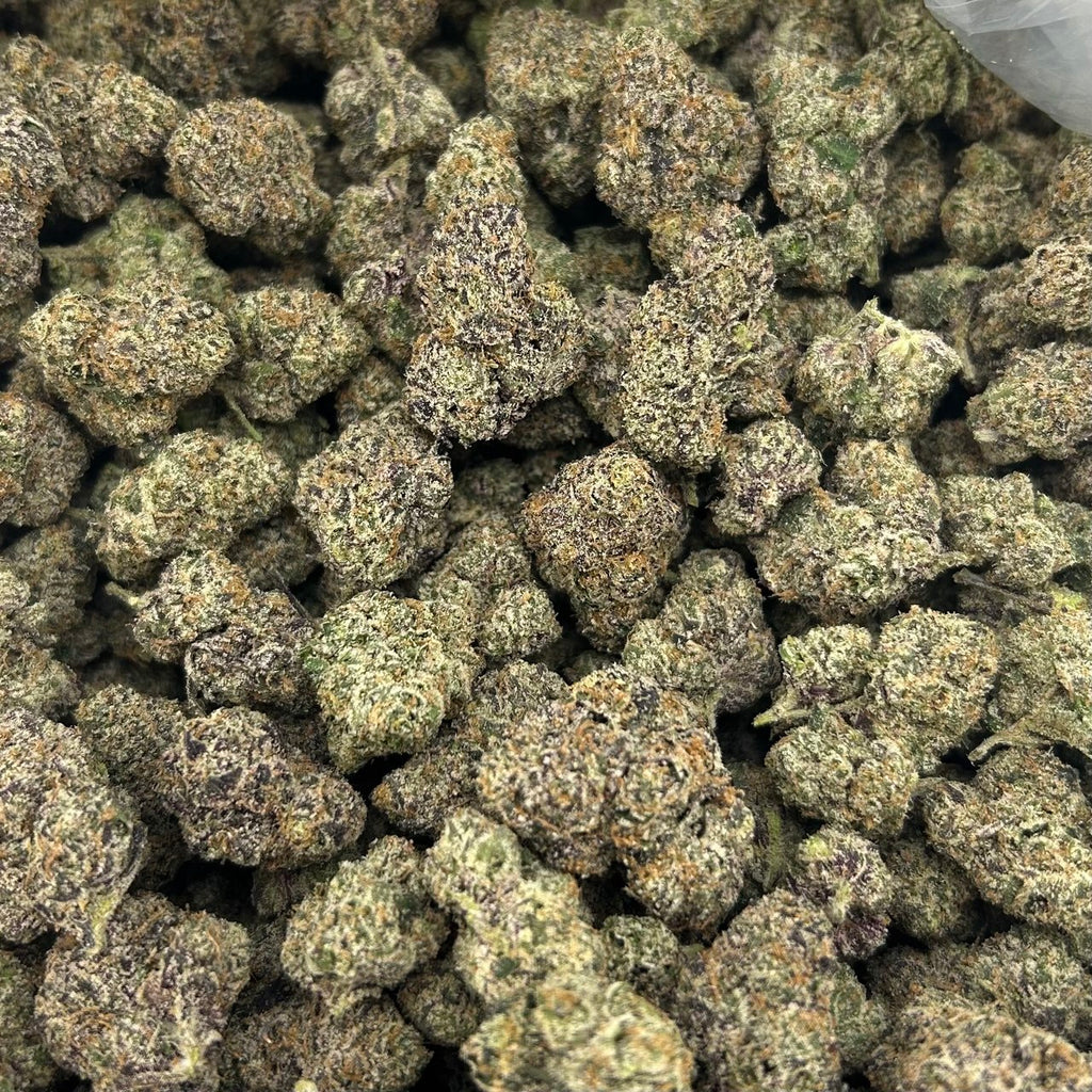 Miami Candy FD#2754