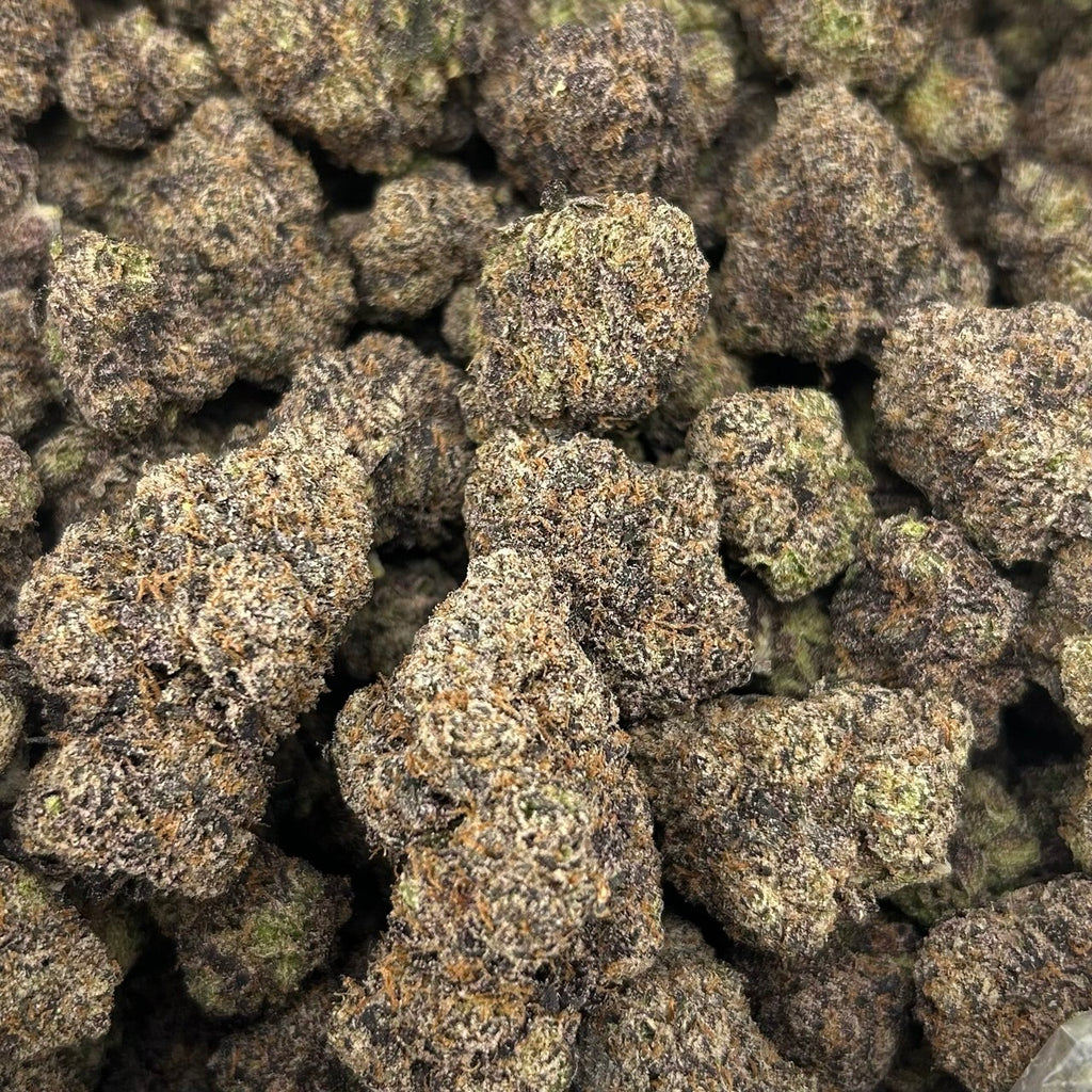 Cotton Candy Explosion (TERPED FLOWER) FD#2758