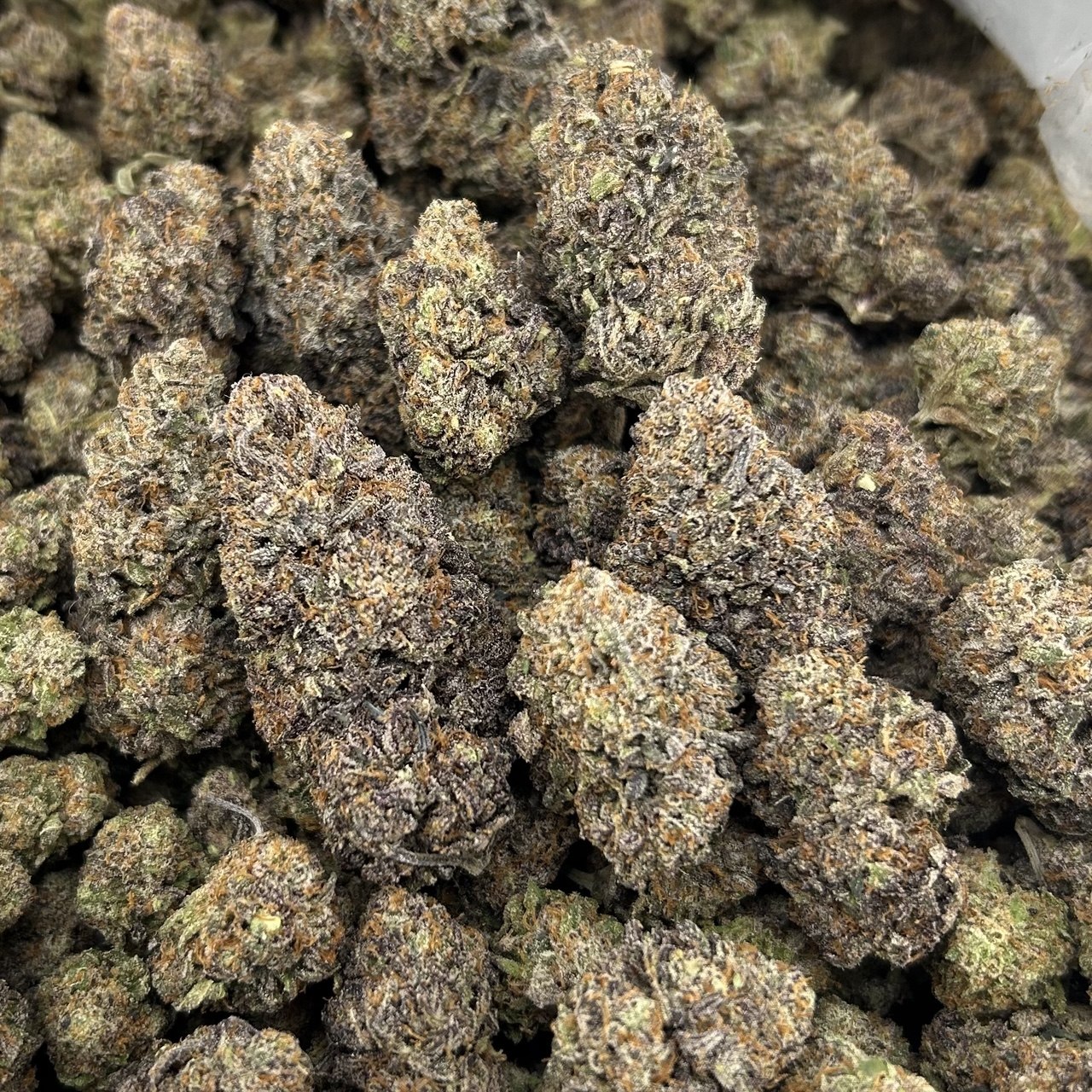 Red Hot Gummiez FD#2766
