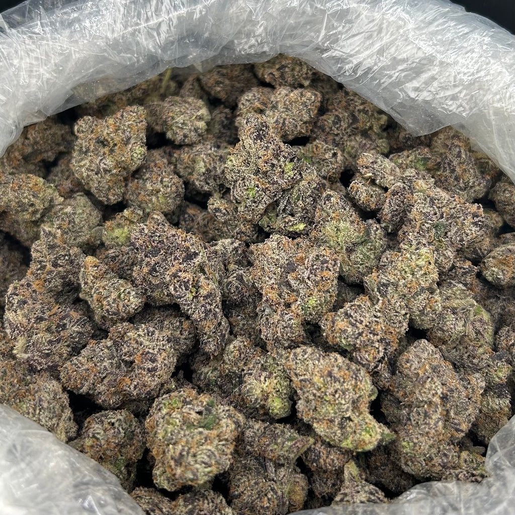Gogurt x Cherry Tartz FD#2769