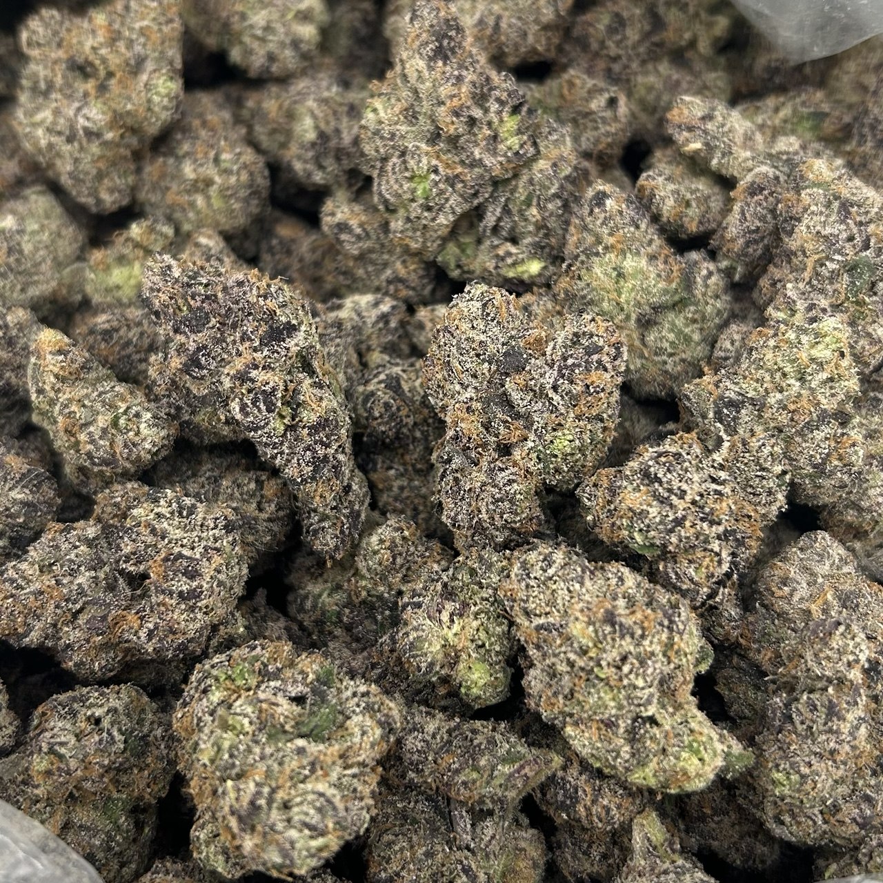 Gogurt x Cherry Tartz FD#2769
