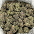 Gypsy Zoap x Bubblegum Zkittles FD#2772